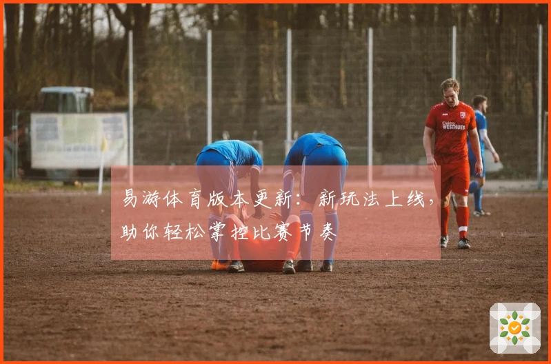 易游体育版本更新：新玩法上线，助你轻松掌控比赛节奏