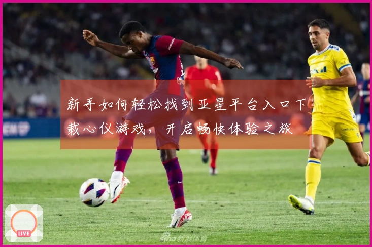 新手如何轻松找到亚星平台入口下载心仪游戏，开启畅快体验之旅